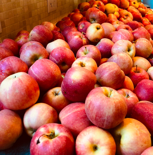 Organic Freeze Dried Apples(slices)